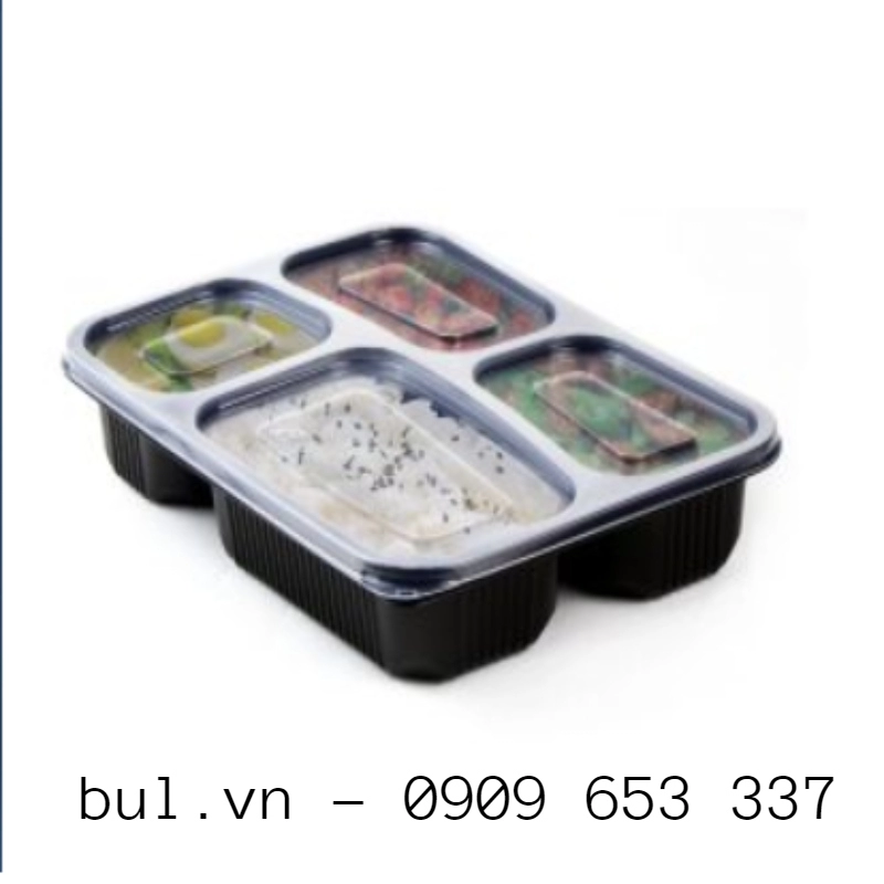 cong ty san xuat hop nhua dung 1 lan 1 171 - Sản xuất hộp nhựa 4 ngăn sử dụng một lần mang đi chất lượng số 1 tại tp HCM